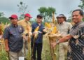 Unhas Segera Luncurkan Varietas Baru Jagung, Penuhi Kebutuhan Indonesia