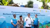 Program Biomassa PLN Dengan Mengubah Lahan Kritis Menjadi Produktif