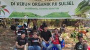 PJI Sulsel Kembangkan Unit Usaha Agrobisnis