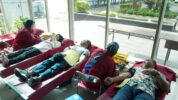 Peringati Bulan K3 2026, Pelindo Group Wilayah Makassar Gelar Donor Darah
